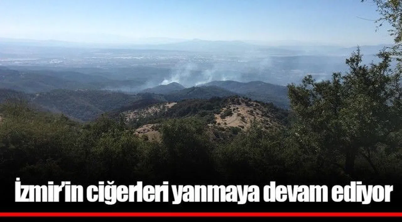İzmir'in ciğerleri yanmaya devam ediyor; 770 futbol sahası alan etkilendi!