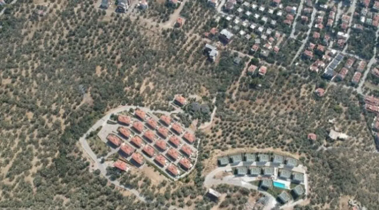 Kaz Dağları'nda Villa Yapımı için 2.5 Milyon Zeytin Ağacı Kesildi