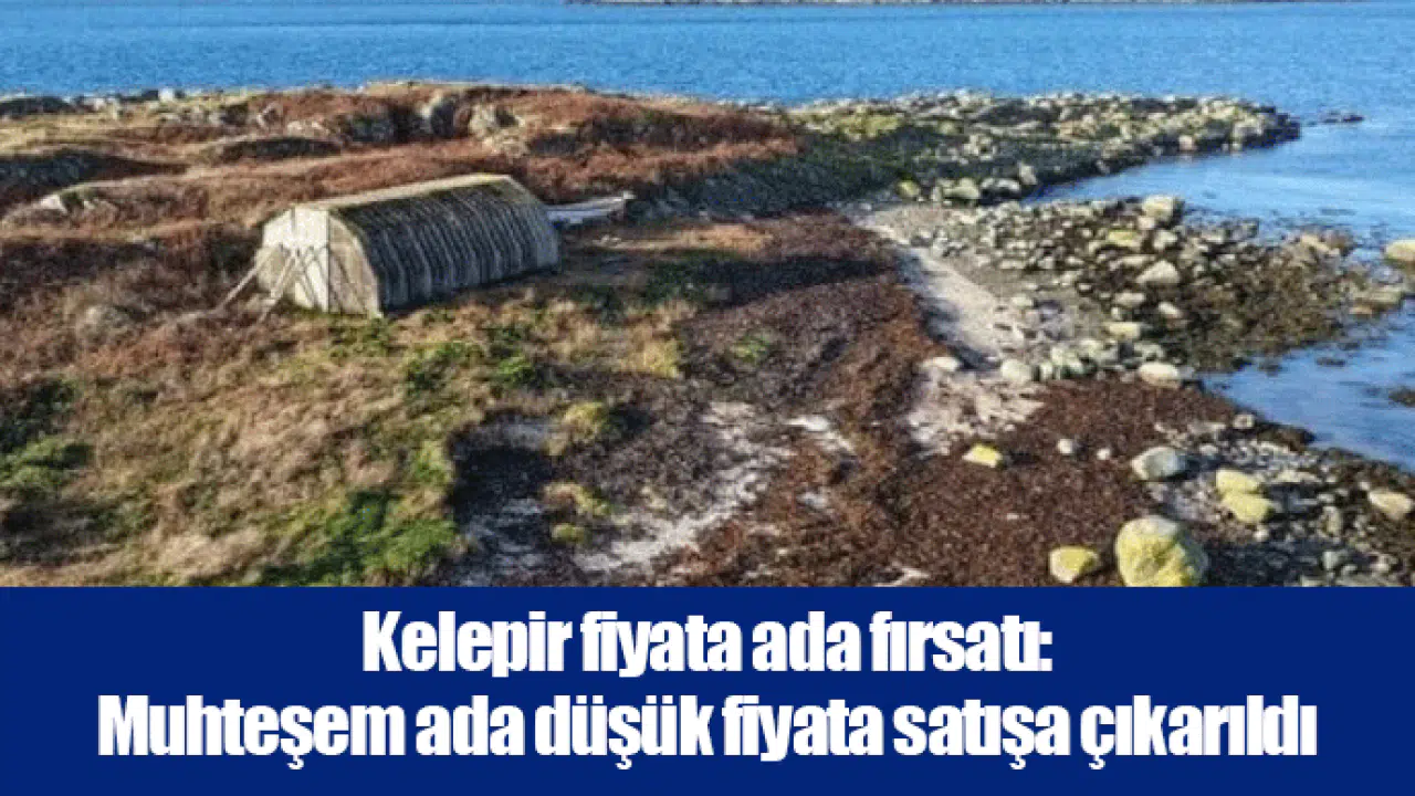 Kelepir fiyata ada fırsatı: Muhteşem ada düşük fiyata satışa çıkarıldı