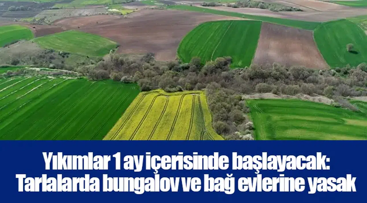 Yıkımlar 1 ay içerisinde başlayacak: Bungalov ve bağ evlerine yasak
