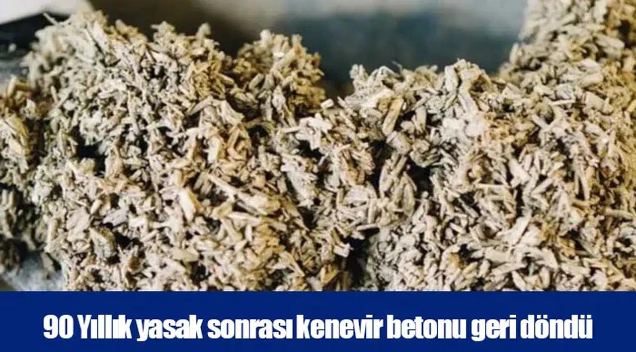 90 Yıllık yasak sonrası kenevir betonu geri döndü