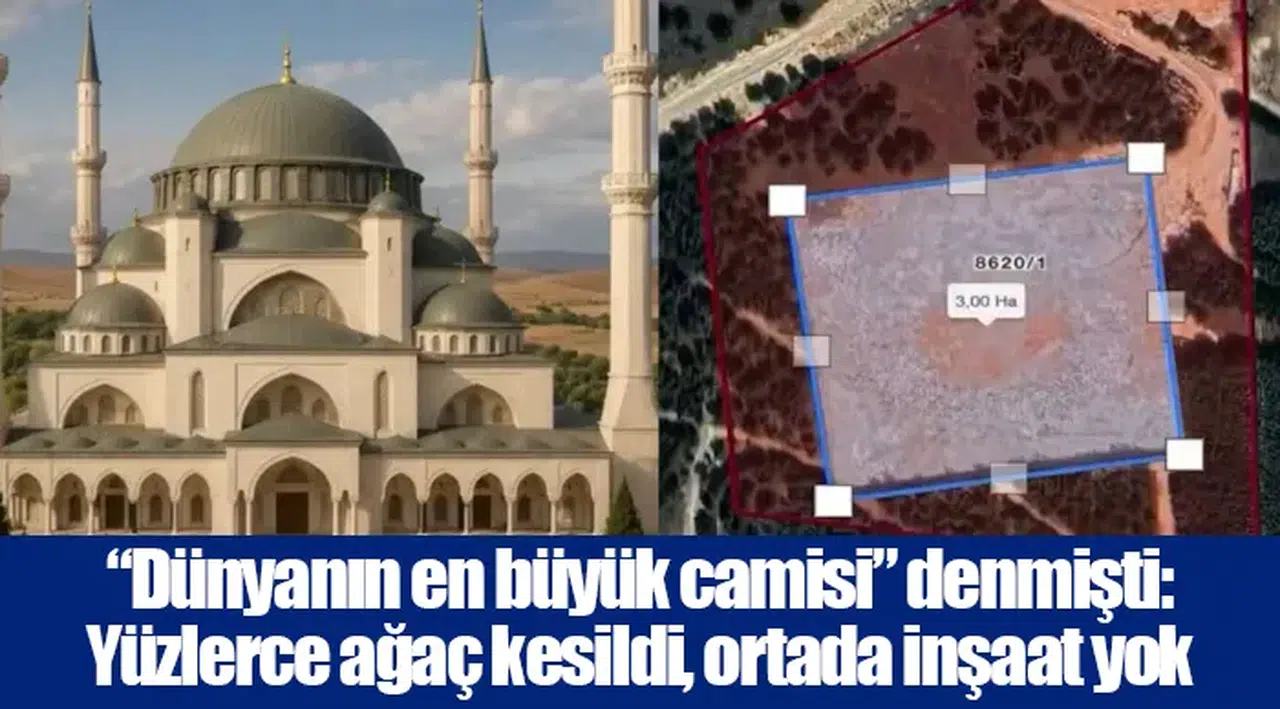 “Dünyanın en büyük camisi” denmişti: Yüzlerce ağaç kesildi, ortada inşaat yok