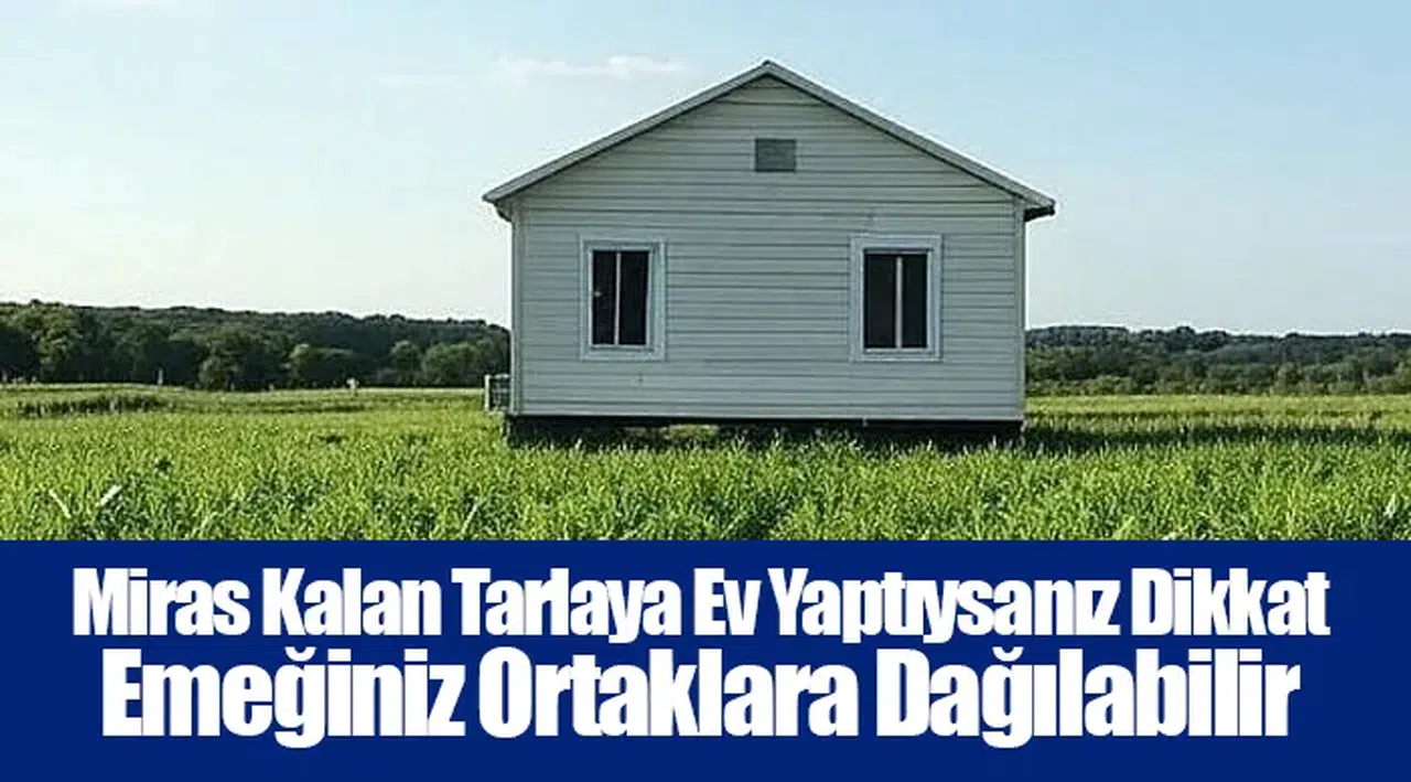 Miras Kalan Tarlaya Ev Yaptıysanız Dikkat: Emeğiniz Ortaklara Dağılabilir