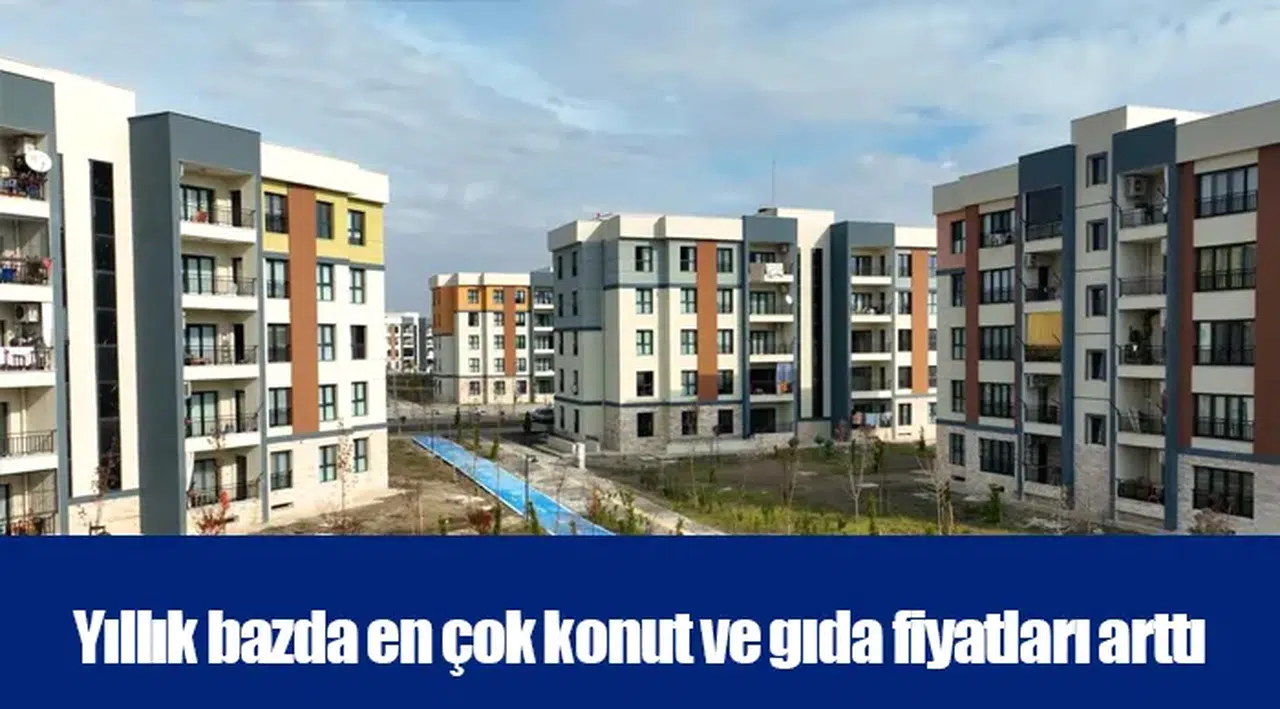 Yıllık bazda en çok konut ve gıda fiyatları arttı
