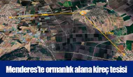 Menderes’te ormanlık alana kireç tesisi