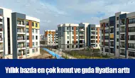 Yıllık bazda en çok konut ve gıda fiyatları arttı