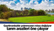 Gayrimenkulde yatırımcının rotası değişiyor tarım arazileri öne çıkıyor