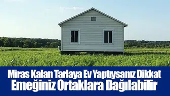 Miras Kalan Tarlaya Ev Yaptıysanız Dikkat: Emeğiniz Ortaklara Dağılabilir
