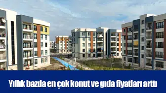 Yıllık bazda en çok konut ve gıda fiyatları arttı
