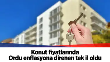 Konut fiyatlarında Ordu enflasyona direnen tek il oldu
