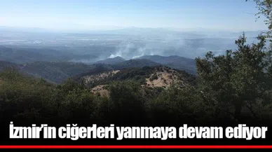İzmir'in ciğerleri yanmaya devam ediyor; 770 futbol sahası alan etkilendi!