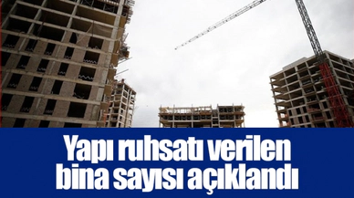 Yapı ruhsatı verilen bina sayısı açıklandı