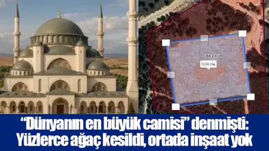 “Dünyanın en büyük camisi” denmişti: Yüzlerce ağaç kesildi, ortada inşaat yok