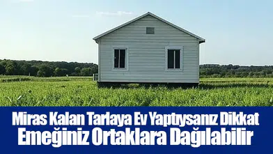 Miras Kalan Tarlaya Ev Yaptıysanız Dikkat: Emeğiniz Ortaklara Dağılabilir