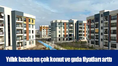Yıllık bazda en çok konut ve gıda fiyatları arttı