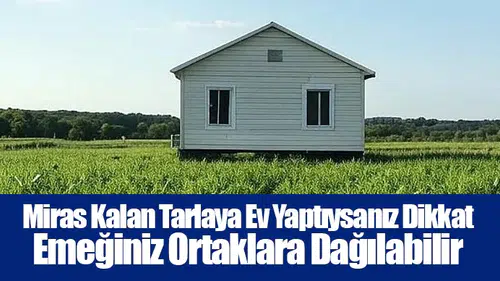 Miras Kalan Tarlaya Ev Yaptıysanız Dikkat: Emeğiniz Ortaklara Dağılabilir