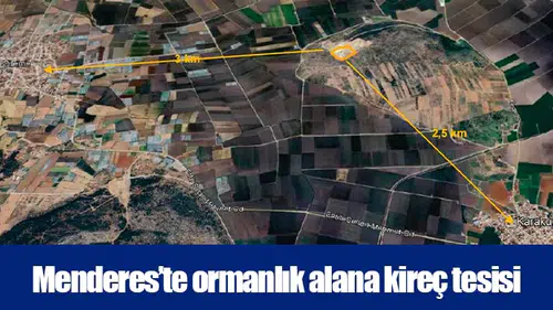 Menderes’te ormanlık alana kireç tesisi