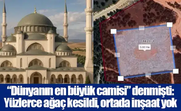 “Dünyanın en büyük camisi” denmişti: Yüzlerce ağaç kesildi, ortada inşaat yok