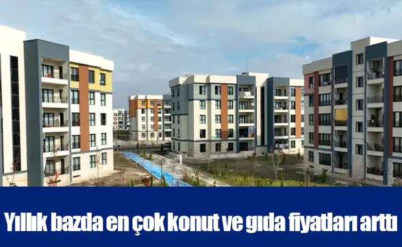 Yıllık bazda en çok konut ve gıda fiyatları arttı