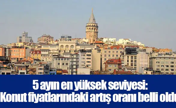 5 ayın en yüksek seviyesi: Konut fiyatlarındaki artış oranı belli oldu