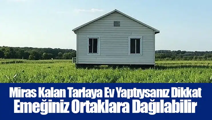Miras Kalan Tarlaya Ev Yaptıysanız Dikkat: Emeğiniz Ortaklara Dağılabilir