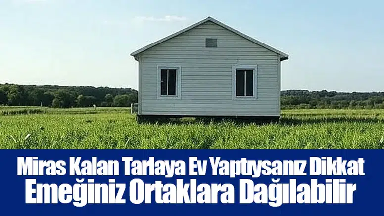 Miras Kalan Tarlaya Ev Yaptıysanız Dikkat: Emeğiniz Ortaklara Dağılabilir