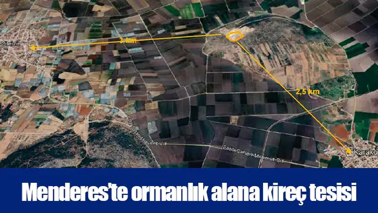 Menderes’te ormanlık alana kireç tesisi