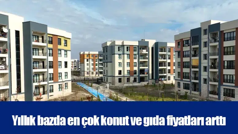Yıllık bazda en çok konut ve gıda fiyatları arttı
