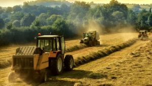 Atatürk Orman Çiftliği tarımsal üretim alanı kiralayacak
