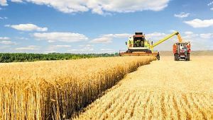 Tarım- ÜFE Nisan ayında %1,09 arttı