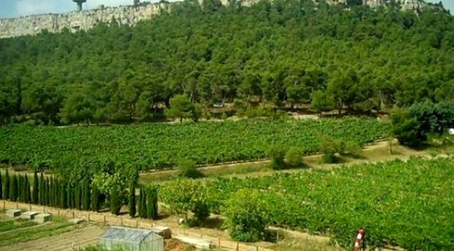 Atatürk Orman Çiftliği arazisi için yürütmeyi durdurma kararı verildi