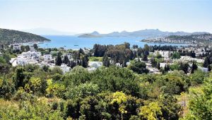 Değerli Hazine arazileri satışa çıkarıldı!..