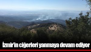 İzmir'in ciğerleri yanmaya devam ediyor; 770 futbol sahası alan etkilendi!