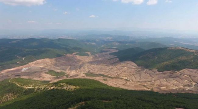 Pasifik İnşaat’tan “Alamos Gold” açıklaması