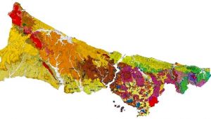 İstanbul'un semt semt jeolojik röntgeni