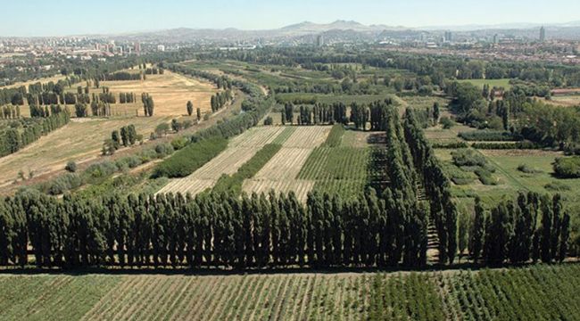 Atatürk Orman Çiftliği Yine Yapılaşmaya Açılıyor