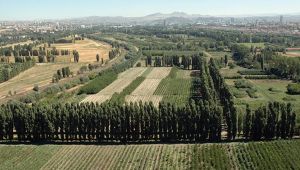 Atatürk Orman Çiftliği Yine Yapılaşmaya Açılıyor 