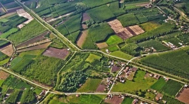 5 bin 882 hazine arazisi satışa çıkıyor