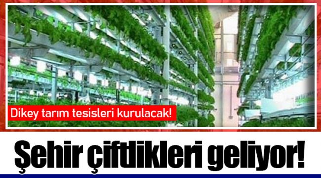 Şehir çiftlikleri geliyor!