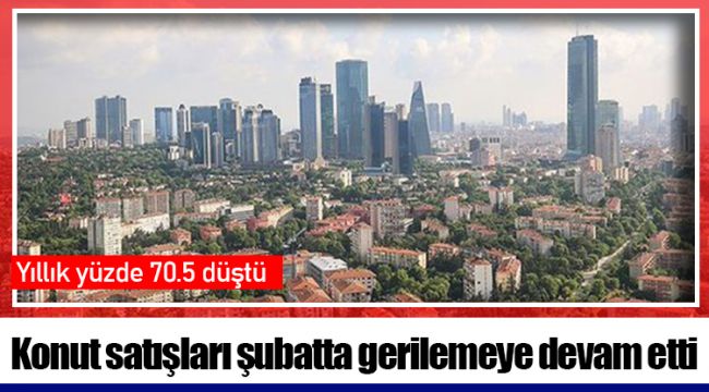 Konut satışları şubatta gerilemeye devam etti