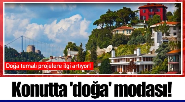 Konutta 'doğa' modası!