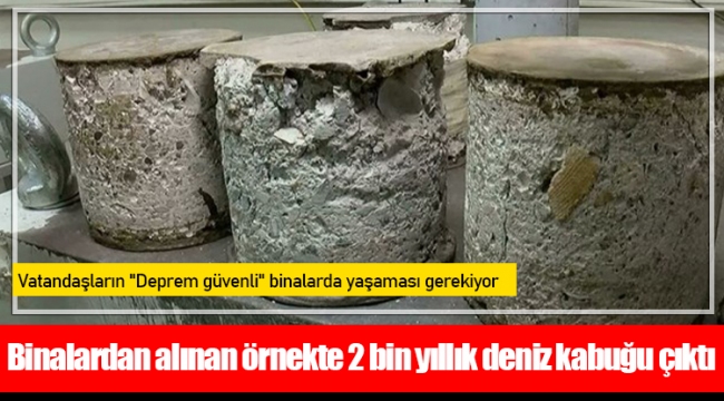 Binalardan alınan örnekte 2 bin yıllık deniz kabuğu çıktı
