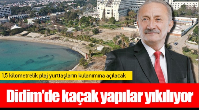 Didim'de kaçak yapılar yıkılıyor