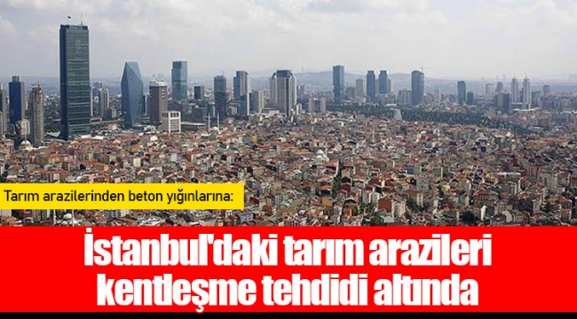 Tarım arazilerinden beton yığınlarına: İstanbul'daki tarım arazileri kentleşme tehdidi altında