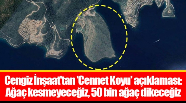 Cengiz İnşaat'tan 'Cennet Koyu' açıklaması: Ağaç kesmeyeceğiz, 50 bin ağaç dikeceğiz