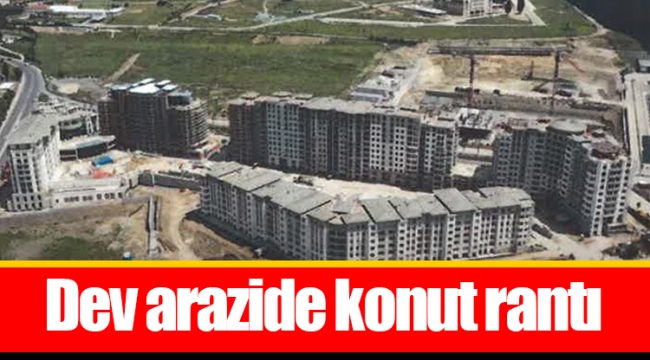 Dev arazide konut rantı