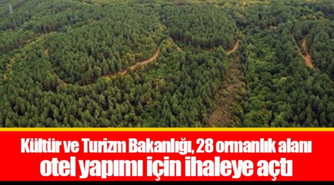 Kültür ve Turizm Bakanlığı, 28 ormanlık alanı otel yapımı için ihaleye açtı