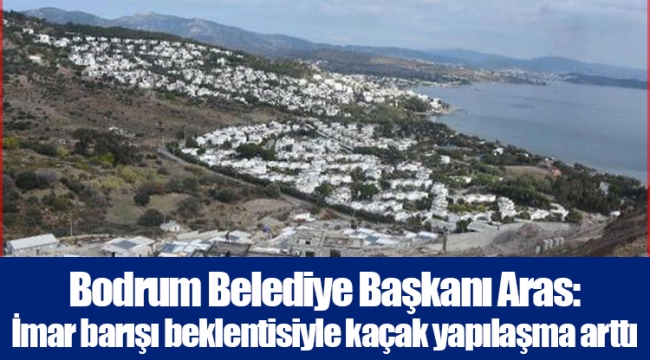 Bodrum Belediye Başkanı Aras: İmar barışı beklentisiyle kaçak yapılaşma arttı