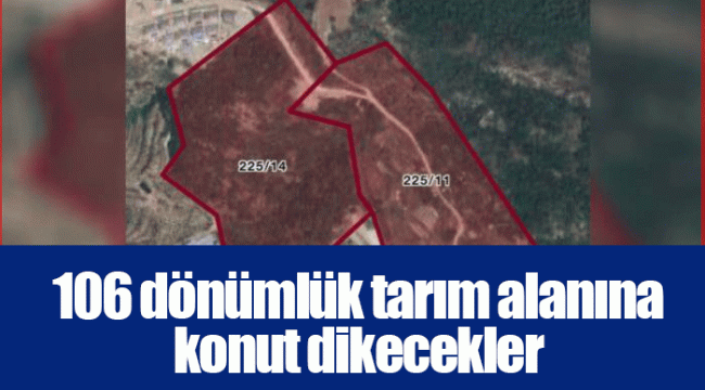 106 dönümlük tarım alanına konut dikecekler