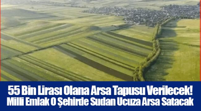 55 Bin Lirası Olana Arsa Tapusu Verilecek! Milli Emlak O Şehirde Sudan Ucuza Arsa Satacak